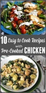 10 Easy To Cook Dinners using Pre-Cooked Chicken