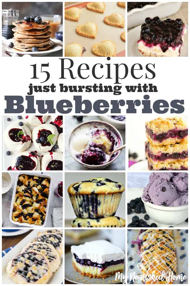 15 Blueberry Recipes Bursting with Flavor | My Nourished Home