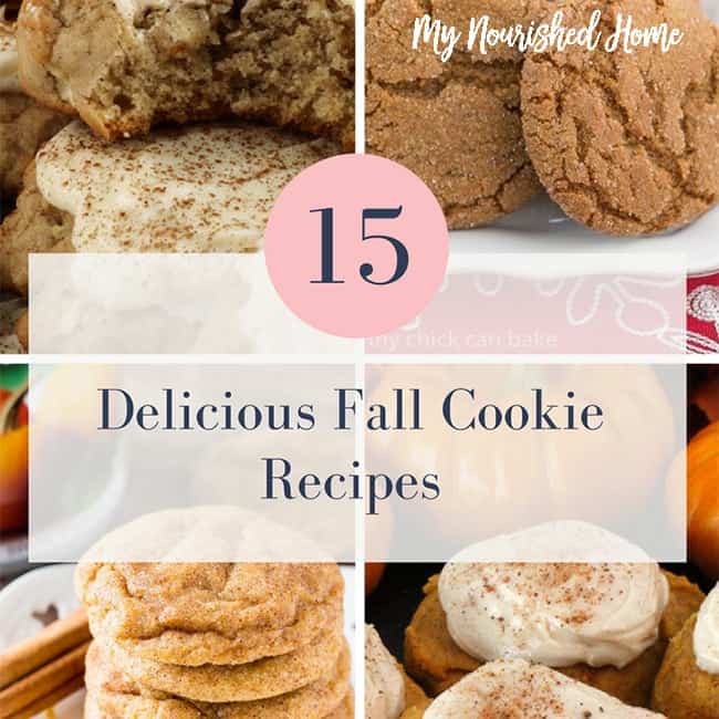 15 Fall Cookie Recipes | My Nourished Home