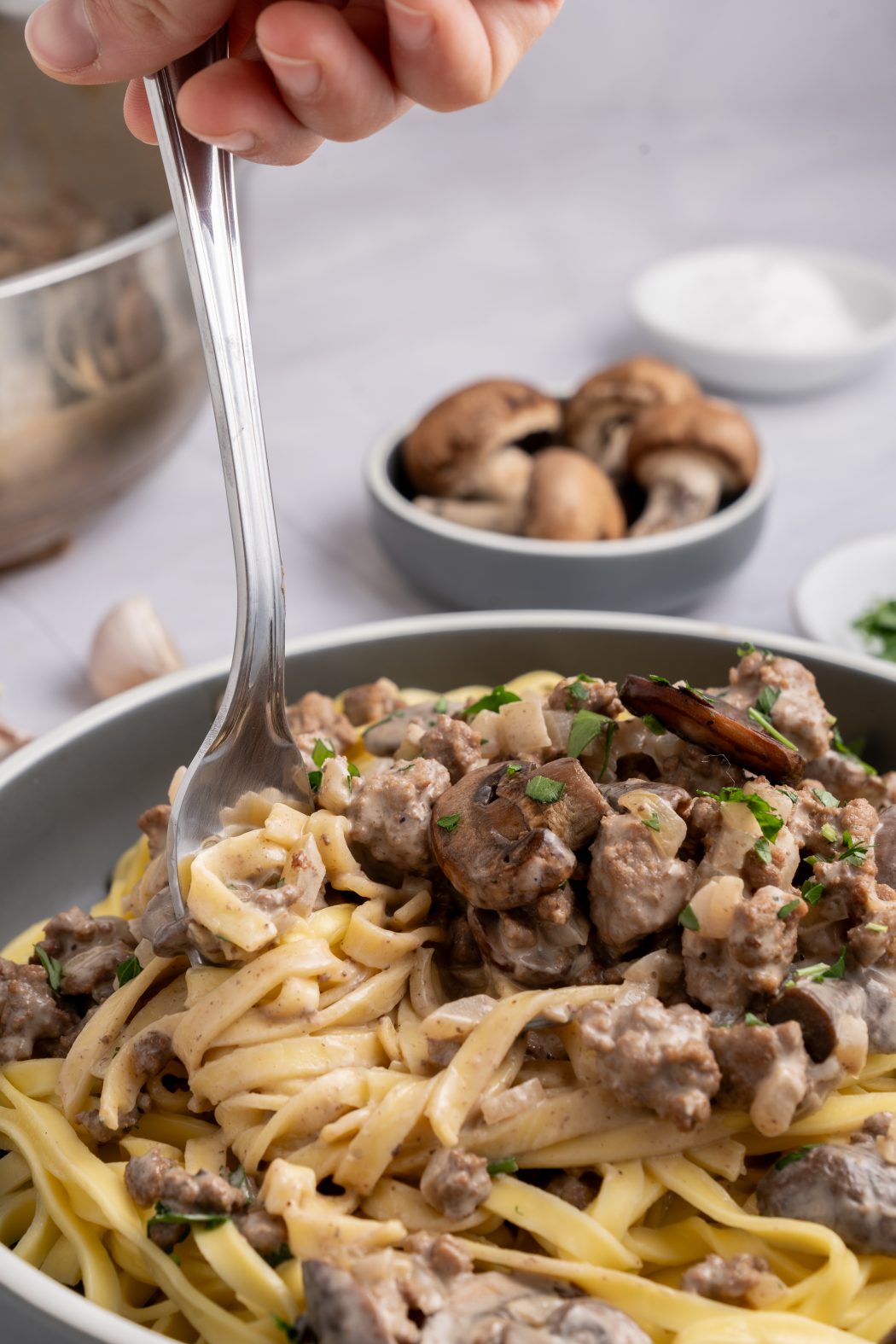 beef stroganoff in a bowl with a fork